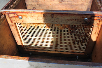 Grille à reine
